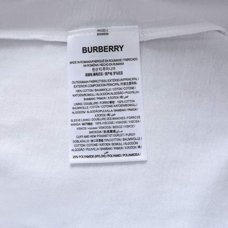 Picture of Burberry T Shirts Short _SKUBurberryXS-LattC14919335